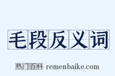 毛段反义词是什么意思的图片